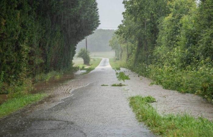 Rischio di forti piogge, temporali e allagamenti a Ille-et-Vilaine questo giovedì 20 giugno