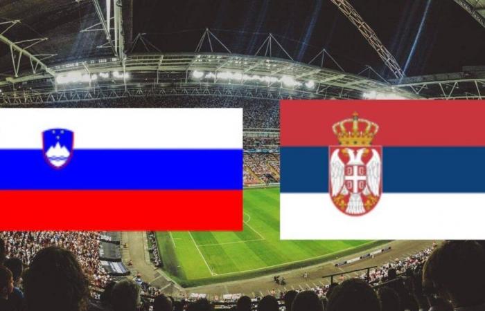 Serbia: su quale canale e a che ora vedere in diretta la partita di Euro 2024?