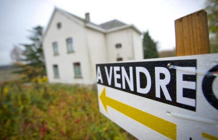 il prezzo medio di una casa di quattro piani nella regione raggiunge i 300.000 euro
