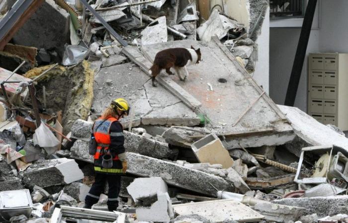 Crollo di un edificio nel quartiere Wilson a Reims: allentamento chiesto dal pubblico ministero