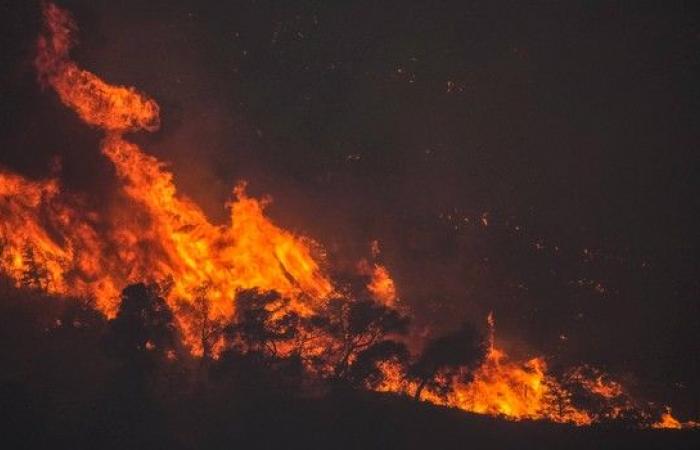 Turchia: gli incendi boschivi provocano 5 morti e diversi feriti – LINFO.re