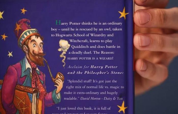 Una prima edizione di ‘Harry Potter’ è stata venduta per una fortuna