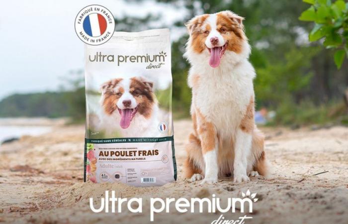 Recensione diretta Ultra Premium: cosa pensano i clienti di questo marchio di alimenti per animali domestici?