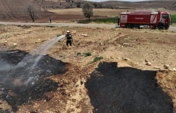 Incendio nella vegetazione a Türkiye: almeno undici morti, decine di feriti e una strage di bestiame