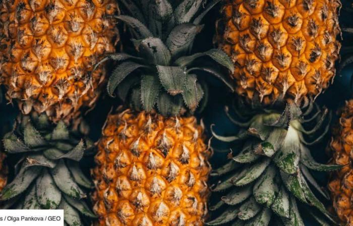 Questo materiale a base di foglie di ananas potrebbe rivoluzionare l’industria della pelle?