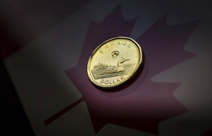 DEBITO FX CANADA-Il dollaro canadese si stabilizza in vista della scadenza di importanti opzioni
