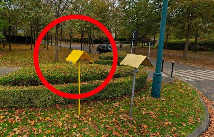 Che pericolo indica questo palo sormontato da un triangolo giallo a lato della strada?
