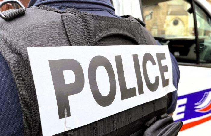 Festival musicale a Tolosa: nove persone arrestate e una “grande folla”