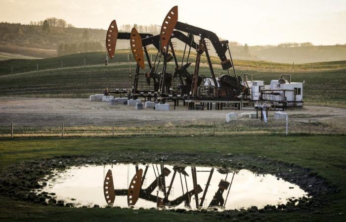 Il settore del petrolio e del gas gioca un gioco rischioso, dicono gli esperti