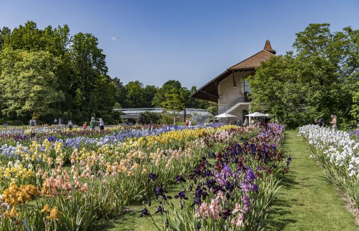 Questi giardini svizzeri che valgono più che una deviazione