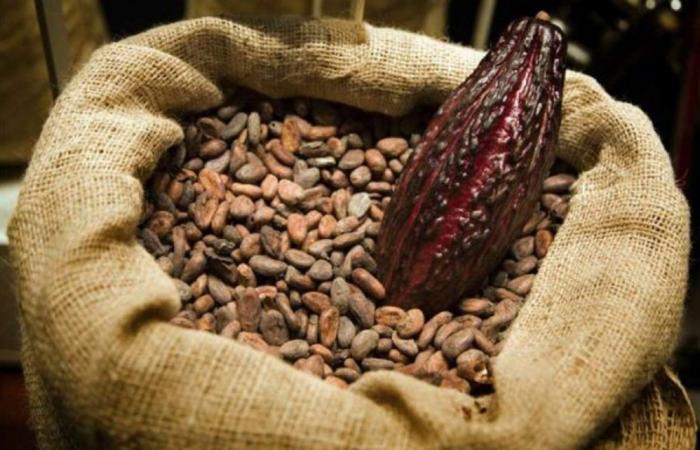 Questo paese africano, il più grande produttore di cacao al mondo, si trova ad affrontare una crisi senza precedenti