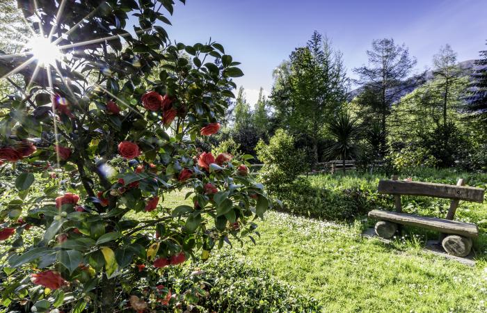 Questi giardini svizzeri che valgono più che una deviazione