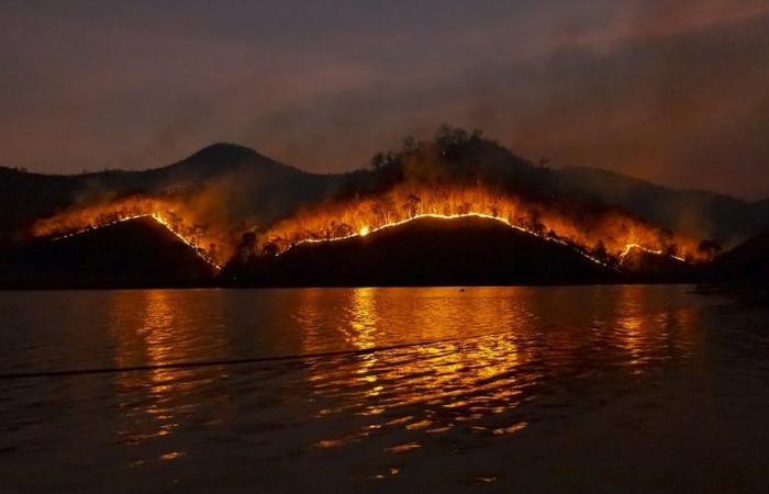 Sparano fuochi d’artificio da uno yacht e provocano un incendio nella foresta… Protesta in Grecia dopo l’incendio sull’isola di Idra
