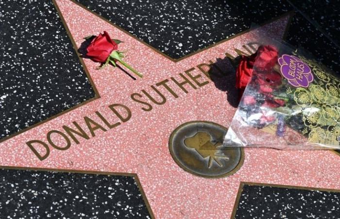 È morto l’attore Donald Sutherland, figura di “The Bastard Twelve” e “Hunger Games”.