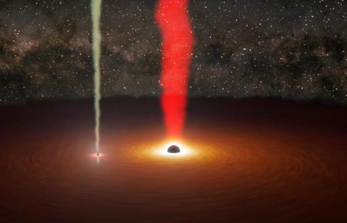 Raro scorcio dal Planet Hunter della NASA di due buchi neri in una galassia lontana