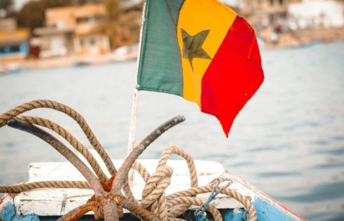 Cocaina: Senegal, nuovo hub di traffici