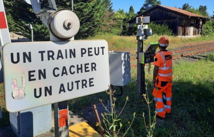 La SNCF sensibilizza sui pericoli dei passaggi a livello a Saint-Geniès-de-Malgoirès