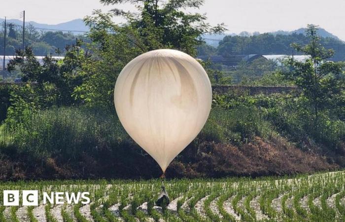 I palloncini della spazzatura della Corea del Nord contenevano parassiti e vestiti rovinati