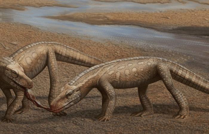 È stato appena scoperto un antenato dei coccodrilli che ha 237 milioni di anni