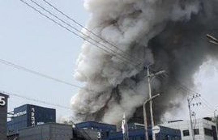 Corea del Sud: incendio in una fabbrica di batterie, 20 morti