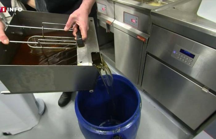 Furti di olio da cucina: una quarantina di ristoranti sono stati derubati nelle ultime settimane nell’ovest della Francia