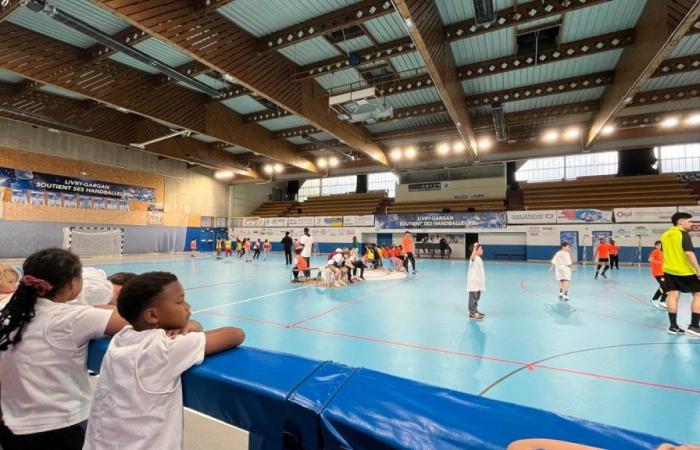 Seine-Saint-Denis: Olimpiadi intercomunali con i bambini dei centri ricreativi