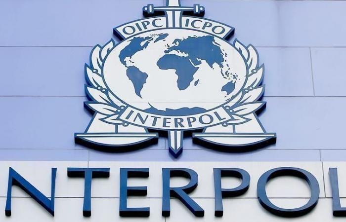 219 persone arrestate dall’Interpol
