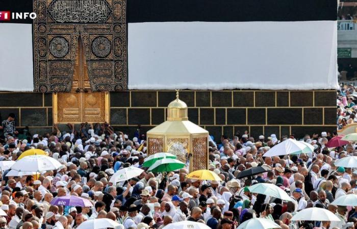 Ondata di caldo in Arabia Saudita: oltre 1.300 pellegrini muoiono alla Mecca durante l’hajj