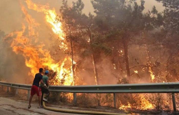 Incendio della vegetazione: sale a 15 il bilancio delle vittime, possibile origine elettrica