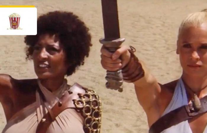 26 anni prima del Gladiatore, questa Spartacus al femminile ha avuto successo grazie all’immensa Pam Grier – Cinema News