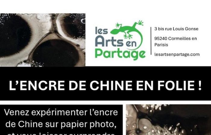 “Sharing Arts” nel laboratorio di Claudelise: “Follia dell’inchiostro di china” con Cécile Coënt