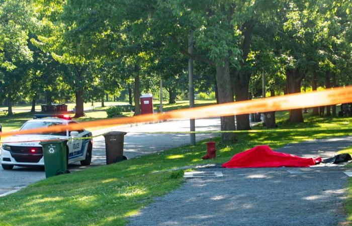 Montreal | Un uomo trovato senza vita al Parco di Angrignon