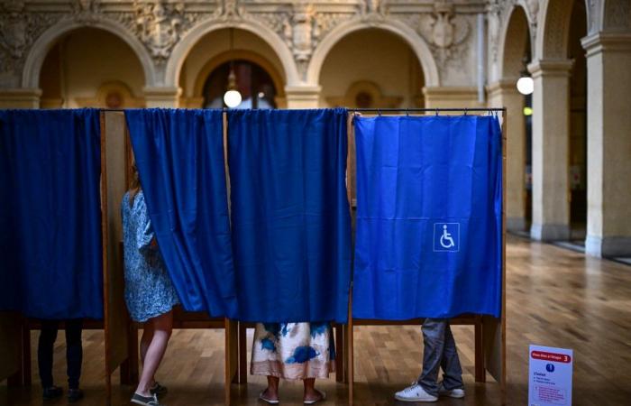 Candidati, questioni… Tutto quello che c’è da sapere sulla 9a circoscrizione elettorale del Rodano