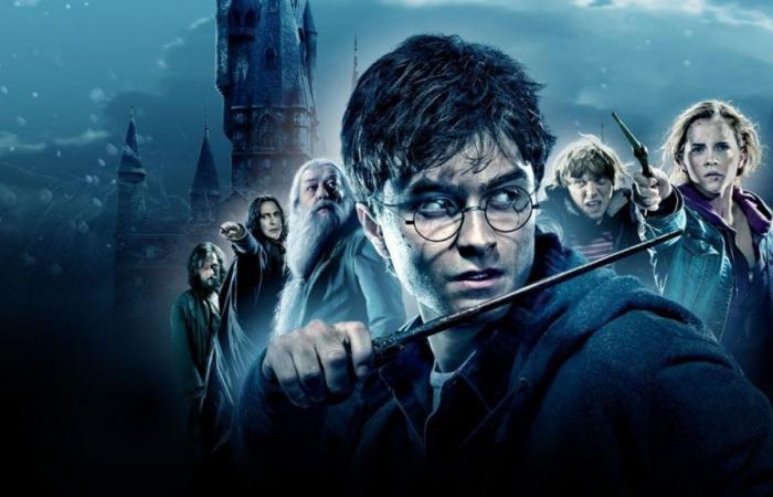 Harry Potter è davvero nel passato! Dopo Daniel Radcliffe, quest’altro attore di un personaggio di culto ammette di non essere interessato a un ruolo nella serie HBO