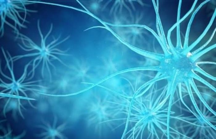 i ricercatori identificano i geni responsabili della morte dei neuroni
