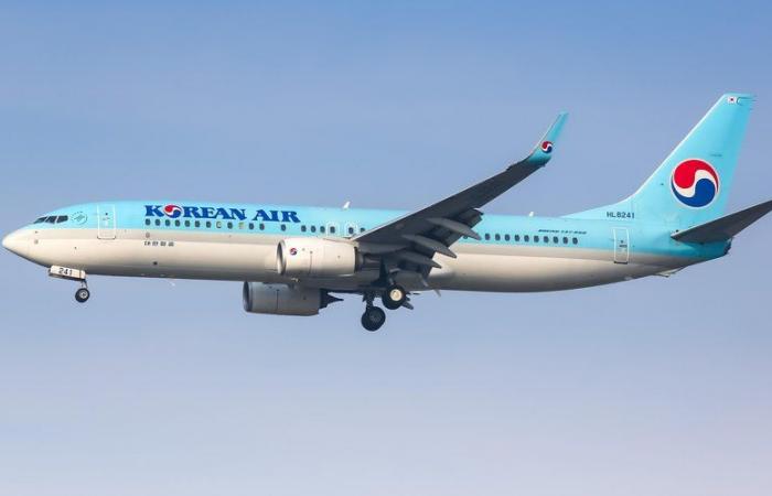 Un Boeing 737-8 della Korea Air precipita da 8.000 metri in un quarto d’ora: l’aereo deve atterrare urgentemente al punto di partenza