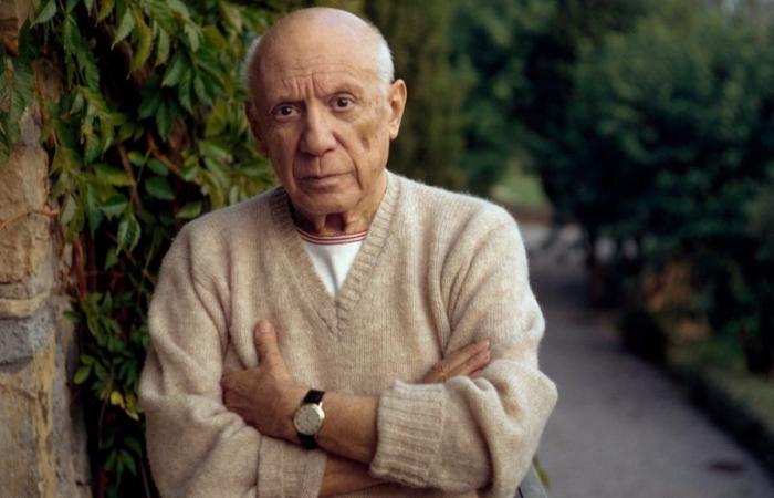 Il motivo sorprendente per cui i dipinti di Picasso sono appesi nei bagni di un museo australiano