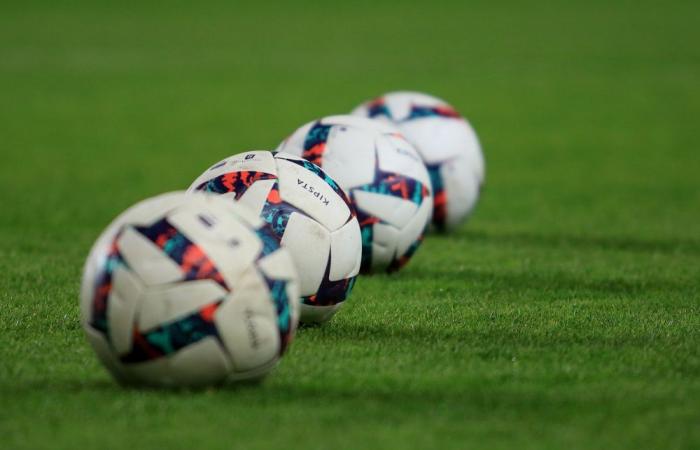 Calcio: beIN Sports si aggiudica i diritti di trasmissione della Ligue 2 fino al 2029