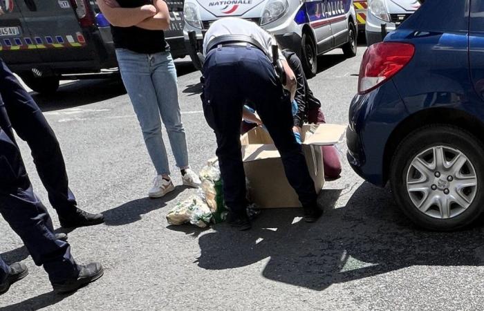 I suoi passeggeri Blablacar sono pacchi misteriosi: finisce alla stazione di polizia di Le Havre