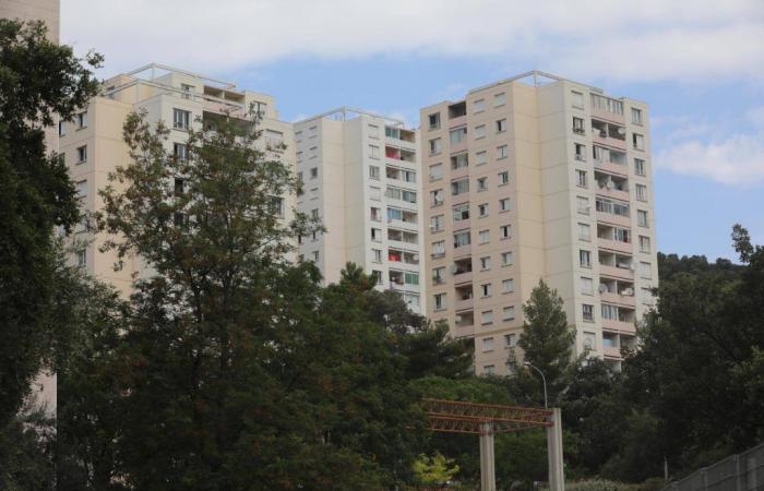 Questi due quartieri di Hyères redigeranno un inventario per migliorare l’ambiente di vita dei loro abitanti