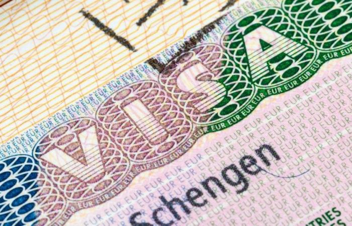 Schengen: questi milioni di euro persi nelle domande di visto respinte