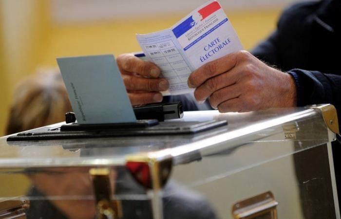 Elezioni legislative 2024: il test del RN contro Emmanuelle Ménard nel 6° collegio elettorale dell’Hérault
