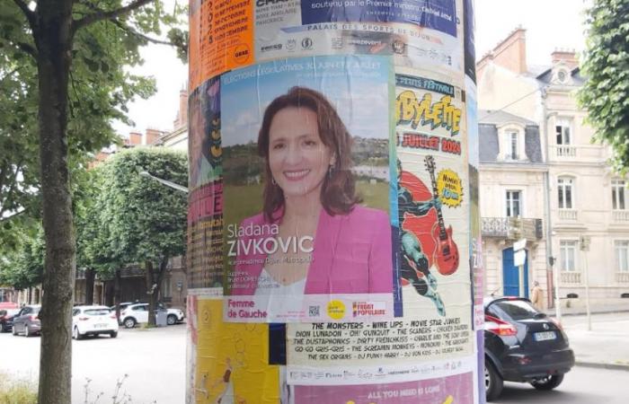 Sladana Zivkovic e le sfide della campagna elettorale: questione di loghi e legalità