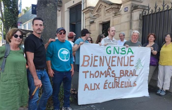 Salvare i 200 alberi dell’Avenue Bollée a Le Mans, il nuovo obiettivo di Thomas Brail