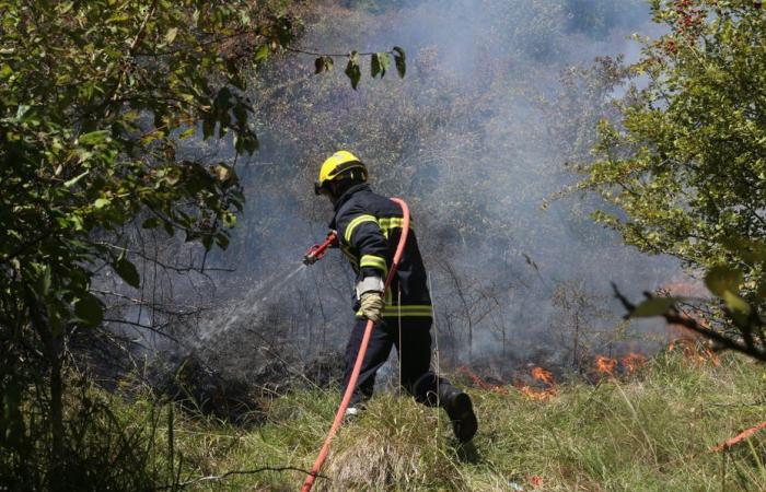 vigili del fuoco specializzati limitano la propagazione delle fiamme