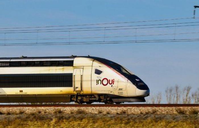 Rinviata l’inchiesta pubblica sulla terza linea ferroviaria a sud di Bordeaux