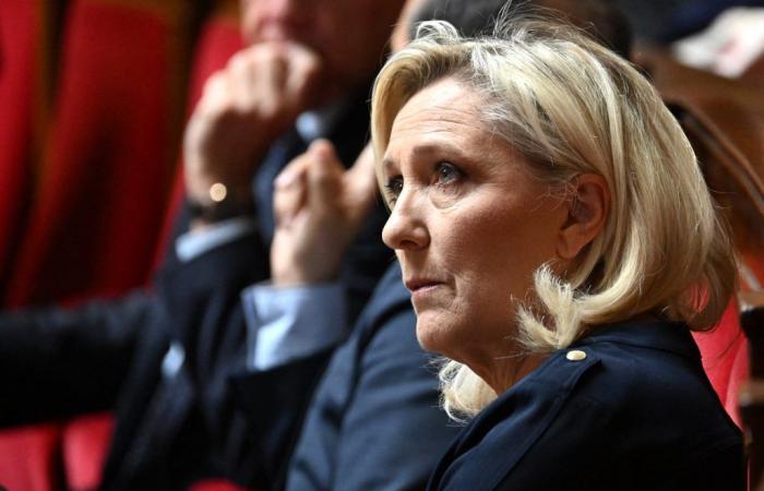 Quello di Presidente e Capo delle Forze Armate è solo un “titolo onorifico”, come dice Marine Le Pen?