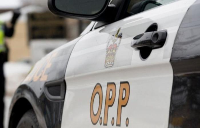 La polizia provinciale dell’Ontario risponde a 10 incidenti nella contea di Lanark mercoledì