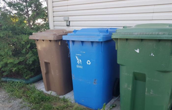 La raccolta con tre bidoni della spazzatura è organizzata a Sept-Rivières