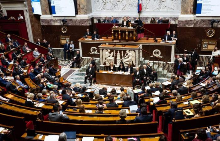 Elezioni legislative in Isère: nella seconda circoscrizione, Cyrielle Chatelain può preoccuparsi?
